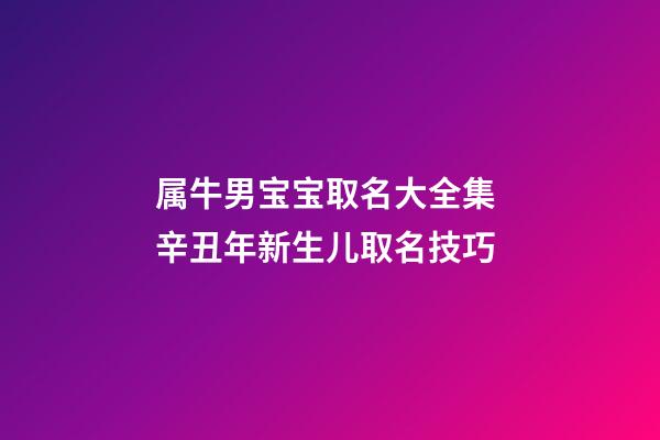 属牛男宝宝取名大全集 辛丑年新生儿取名技巧